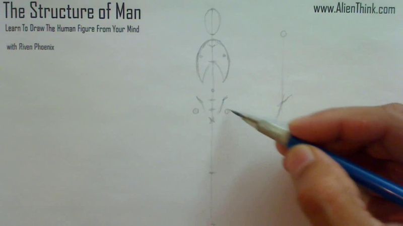 Figure Drawing - Figure Drawing Lesson 002 - Core Structure of the Human Figure - Frame 86