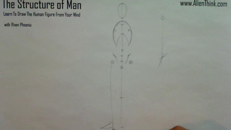 Figure Drawing - Figure Drawing Lesson 002 - Core Structure of the Human Figure - Frame 88