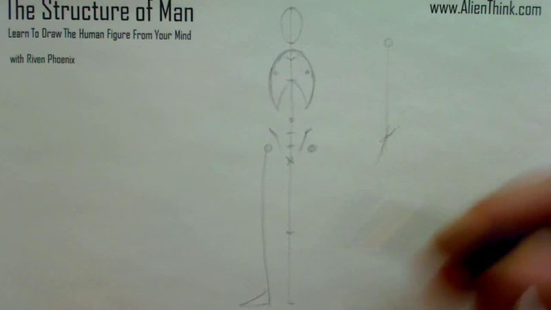 Figure Drawing - Figure Drawing Lesson 002 - Core Structure of the Human Figure - Frame 89
