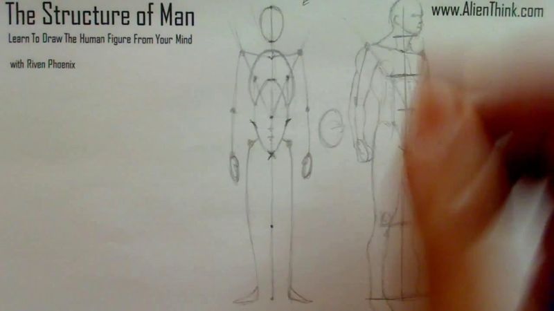 Figure Drawing - Figure Drawing Lesson 002 - Core Structure of the Human Figure - Frame 10