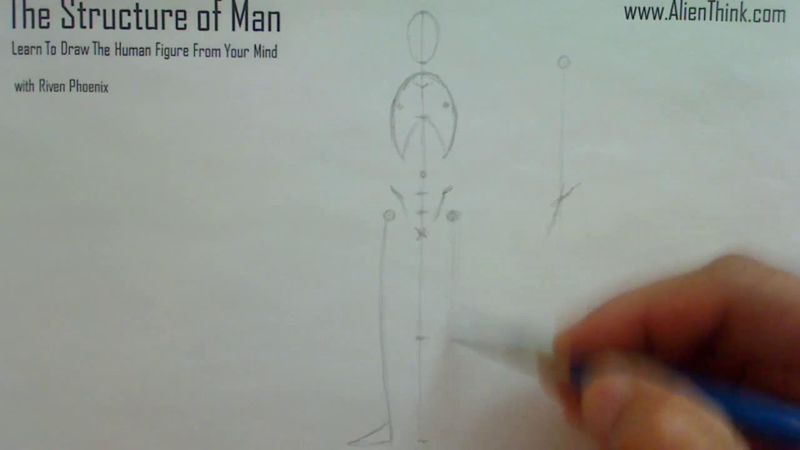 Figure Drawing - Figure Drawing Lesson 002 - Core Structure of the Human Figure - Frame 91