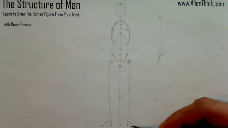 Figure Drawing - Figure Drawing Lesson 002 - Core Structure of the Human Figure - Frame 92