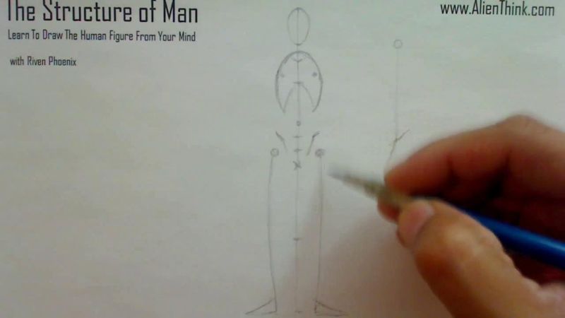Figure Drawing - Figure Drawing Lesson 002 - Core Structure of the Human Figure - Frame 93