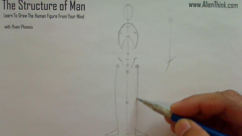 Figure Drawing - Figure Drawing Lesson 002 - Core Structure of the Human Figure - Frame 96