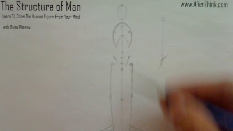 Figure Drawing - Figure Drawing Lesson 002 - Core Structure of the Human Figure - Frame 97