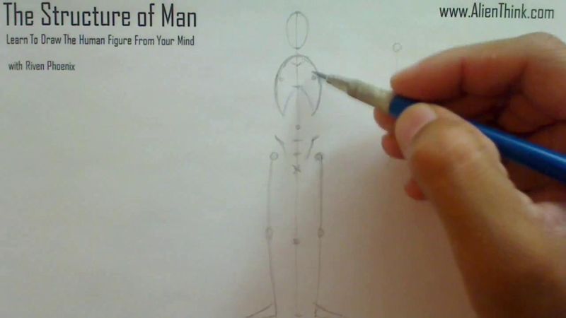 Figure Drawing - Figure Drawing Lesson 002 - Core Structure of the Human Figure - Frame 98