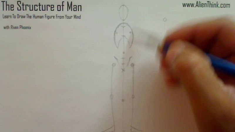 Figure Drawing - Figure Drawing Lesson 002 - Core Structure of the Human Figure - Frame 99