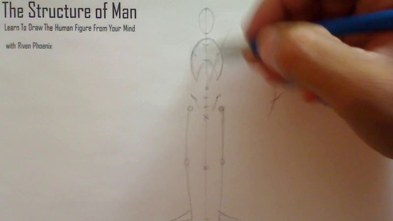 Figure Drawing - Figure Drawing Lesson 002 - Core Structure of the Human Figure - Frame 100