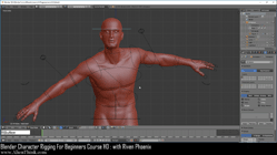 blender 3d rigging by riven phoenix tutorial 1