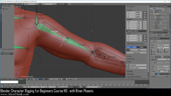 blender 3d rigging by riven phoenix tutorial 105