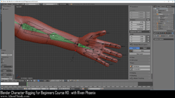 blender 3d rigging by riven phoenix tutorial 106