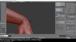 blender 3d rigging by riven phoenix tutorial 107