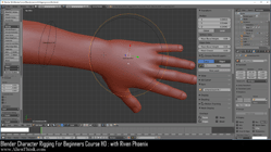 blender 3d rigging by riven phoenix tutorial 108