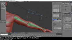 blender 3d rigging by riven phoenix tutorial 109