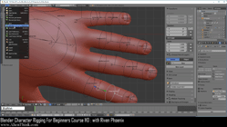 blender 3d rigging by riven phoenix tutorial 114