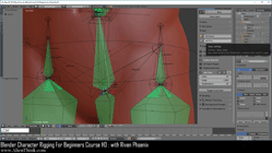 blender 3d rigging by riven phoenix tutorial 124