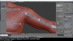 blender 3d rigging by riven phoenix tutorial 14