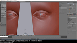 blender 3d rigging by riven phoenix tutorial 17