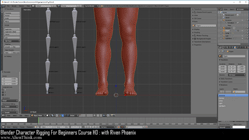 blender 3d rigging by riven phoenix tutorial 19