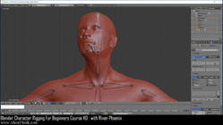 blender 3d rigging by riven phoenix tutorial 2