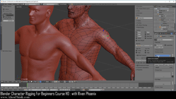 blender 3d rigging by riven phoenix tutorial 23
