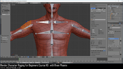 blender 3d rigging by riven phoenix tutorial 25