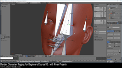 blender 3d rigging by riven phoenix tutorial 43