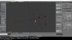 blender 3d rigging by riven phoenix tutorial 57