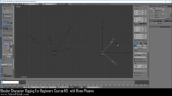 blender 3d rigging by riven phoenix tutorial 63