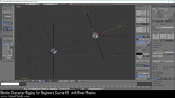blender 3d rigging by riven phoenix tutorial 66