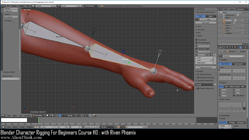 blender 3d rigging by riven phoenix tutorial 7