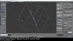 blender 3d rigging by riven phoenix tutorial 82