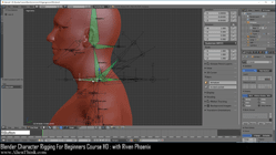 blender 3d rigging by riven phoenix tutorial 85
