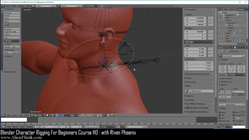 blender 3d rigging by riven phoenix tutorial 86