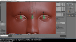 blender 3d rigging by riven phoenix tutorial 88