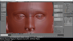 blender 3d rigging by riven phoenix tutorial 89