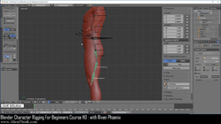 blender 3d rigging by riven phoenix tutorial 94