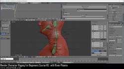 blender 3d rigging by riven phoenix tutorial 95