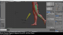 blender 3d rigging by riven phoenix tutorial 99