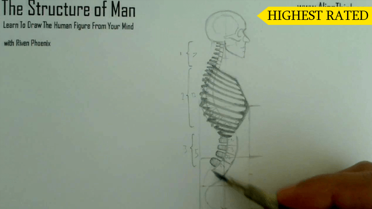 A figure drawing plate from the Riven Phoenix figure drawing course, 1 of 12