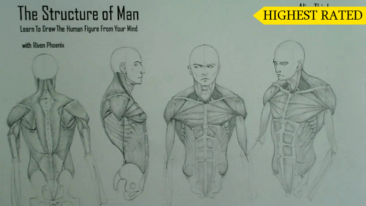 A figure drawing plate from the Riven Phoenix figure drawing course, 10 of 12