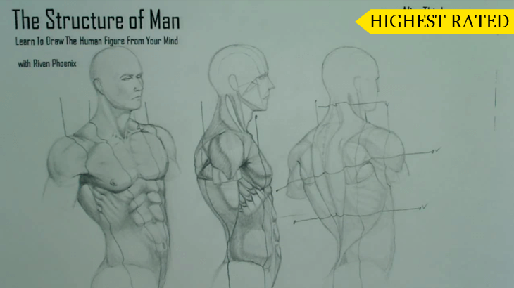 A figure drawing plate from the Riven Phoenix figure drawing course, 3 of 12