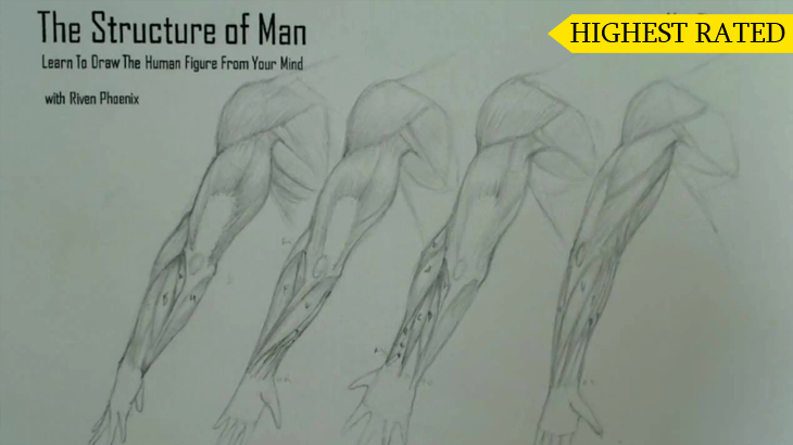 A figure drawing plate from the Riven Phoenix figure drawing course, 4 of 12