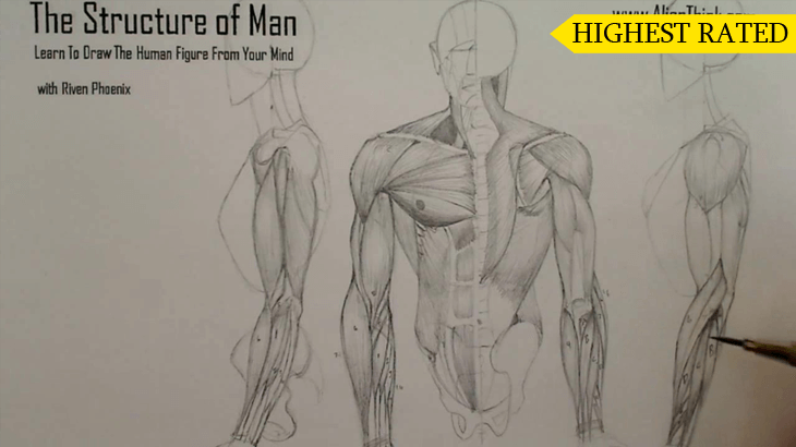 A figure drawing plate from the Riven Phoenix figure drawing course, 5 of 12
